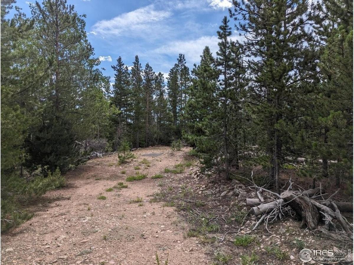 Picture of Residential Land For Sale in Red Feather Lakes, Colorado, United States