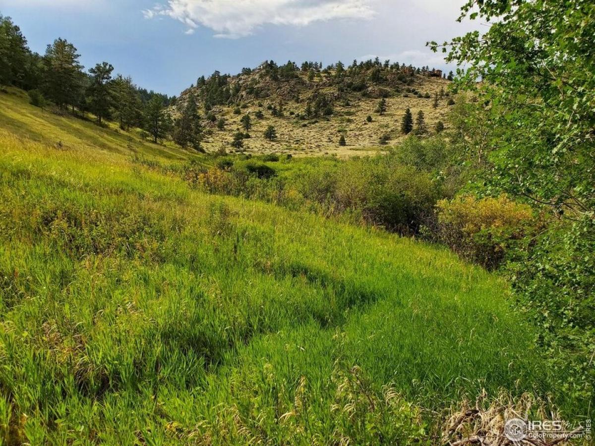 Picture of Residential Land For Sale in Livermore, Colorado, United States