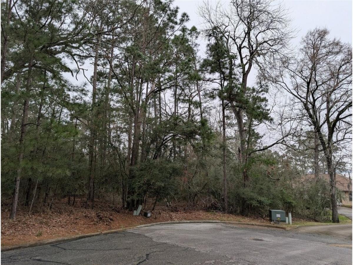 Picture of Residential Land For Sale in Huntsville, Texas, United States