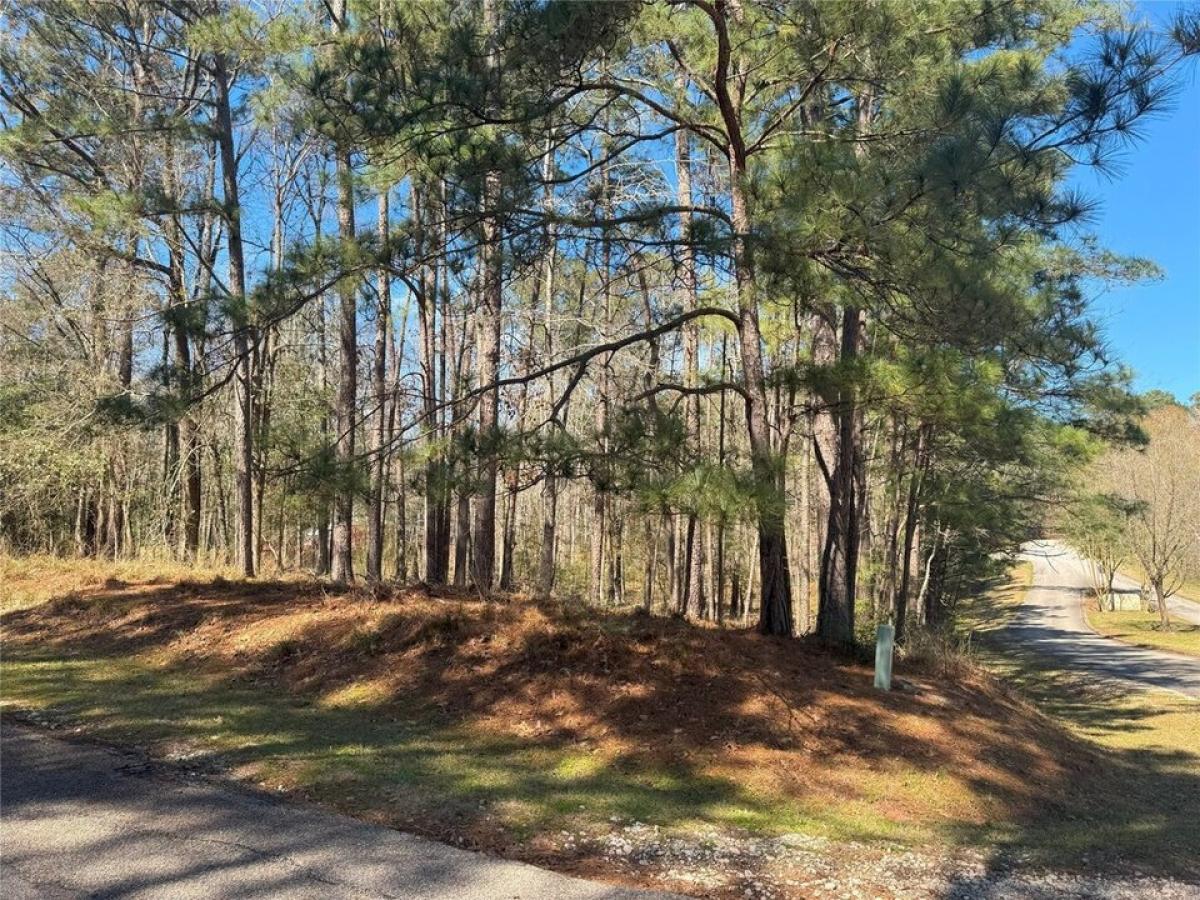 Picture of Residential Land For Sale in Coldspring, Texas, United States