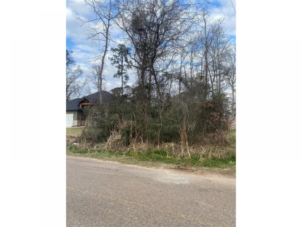 Picture of Residential Land For Sale in Willis, Texas, United States