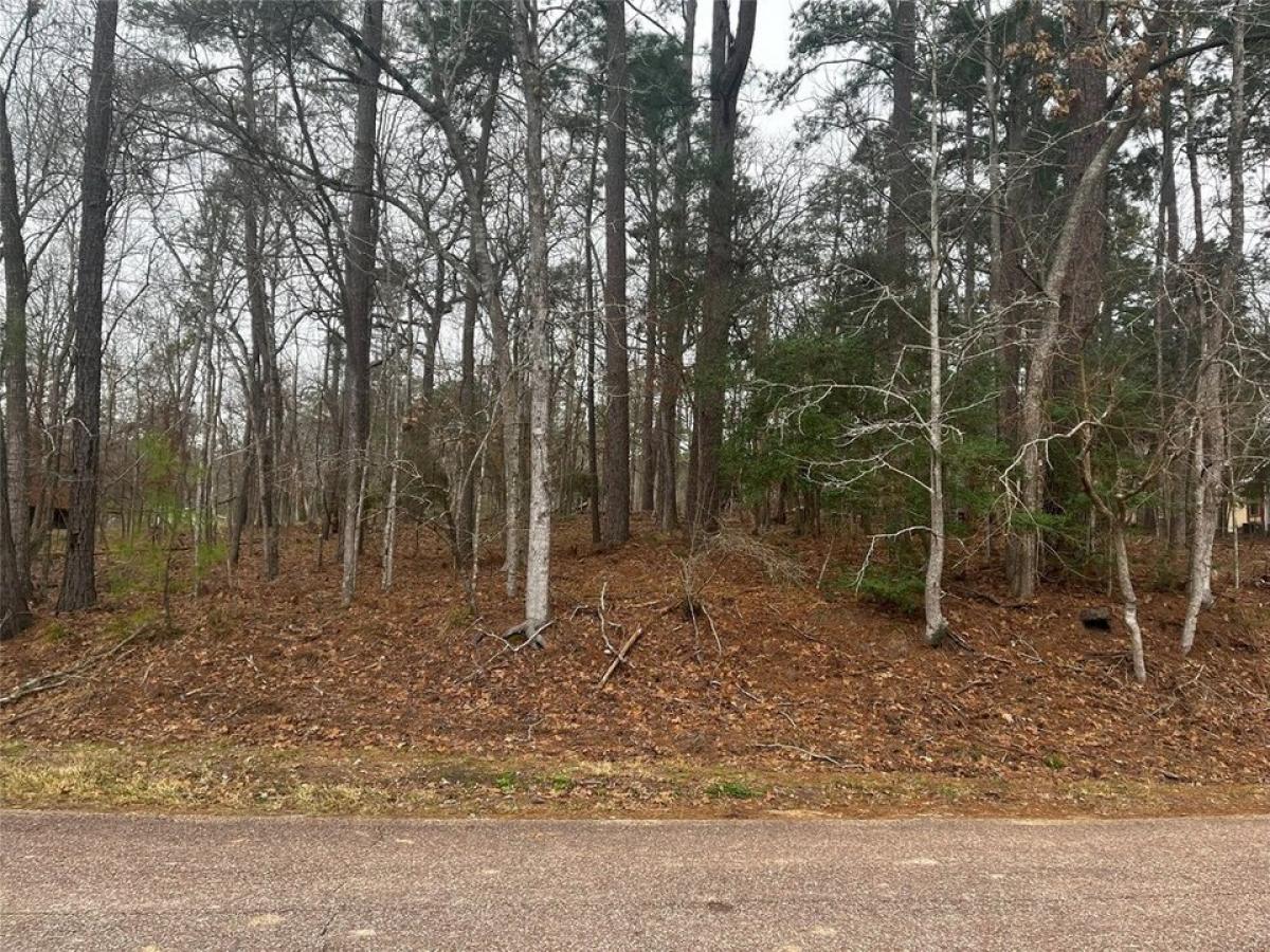 Picture of Residential Land For Sale in Coldspring, Texas, United States