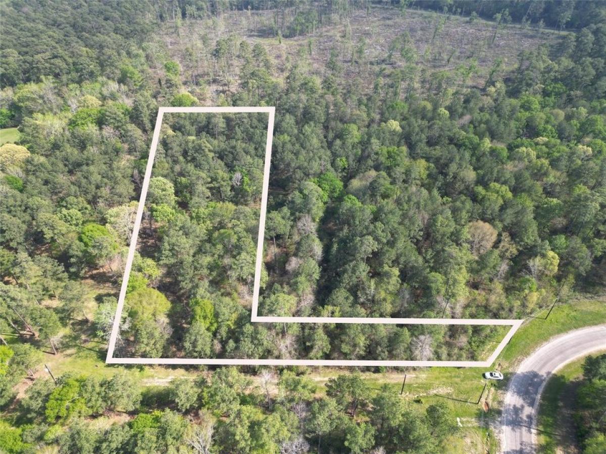 Picture of Residential Land For Sale in Huntsville, Texas, United States