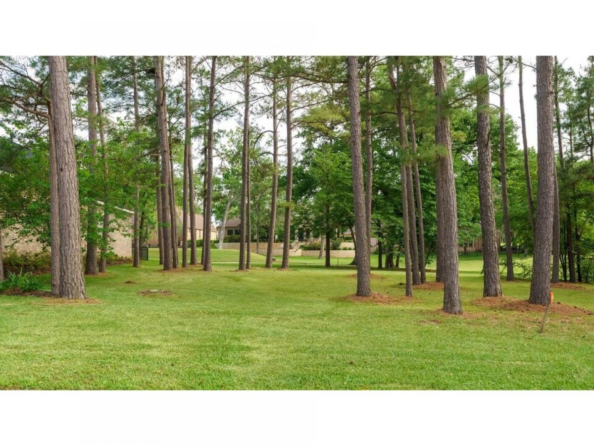 Picture of Residential Land For Sale in Montgomery, Texas, United States