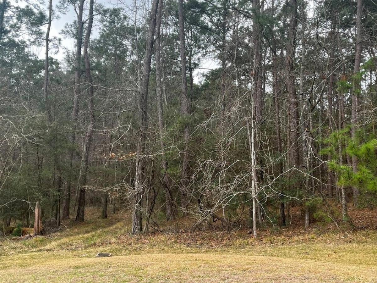 Picture of Residential Land For Sale in Coldspring, Texas, United States