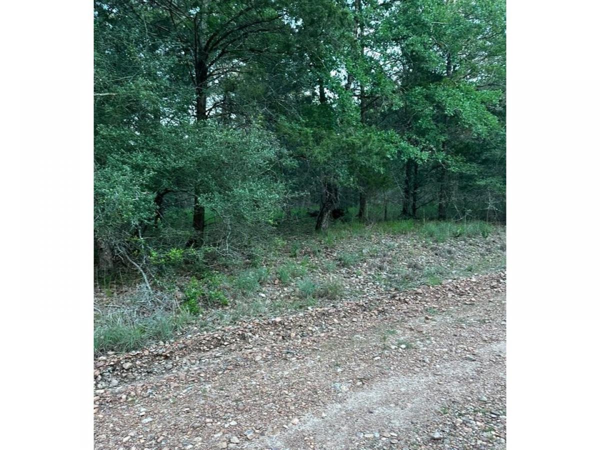 Picture of Residential Land For Sale in Willis, Texas, United States