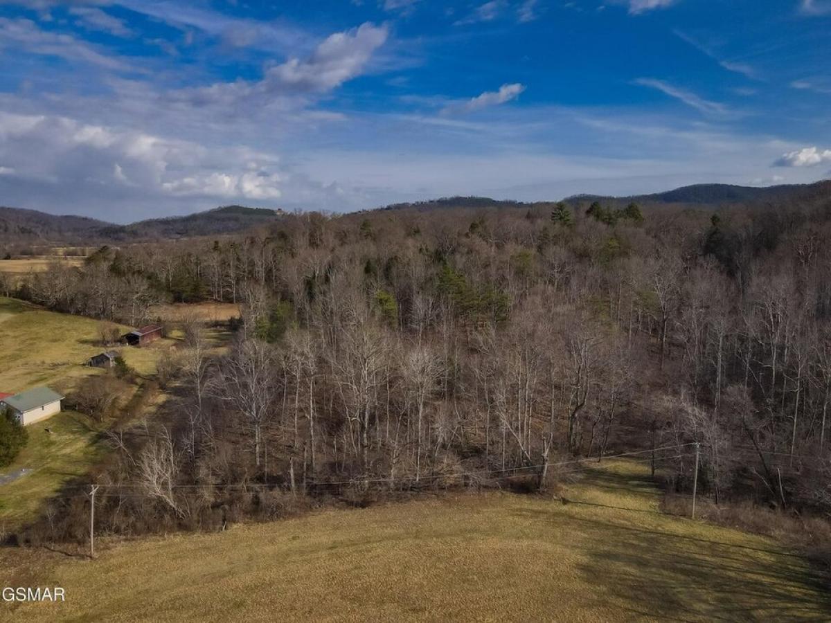 Picture of Residential Land For Sale in Sevierville, Tennessee, United States