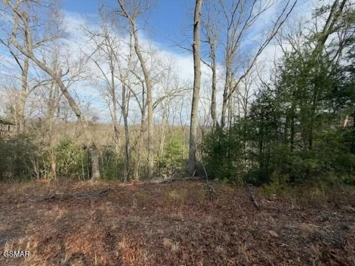 Picture of Residential Land For Sale in Sevierville, Tennessee, United States