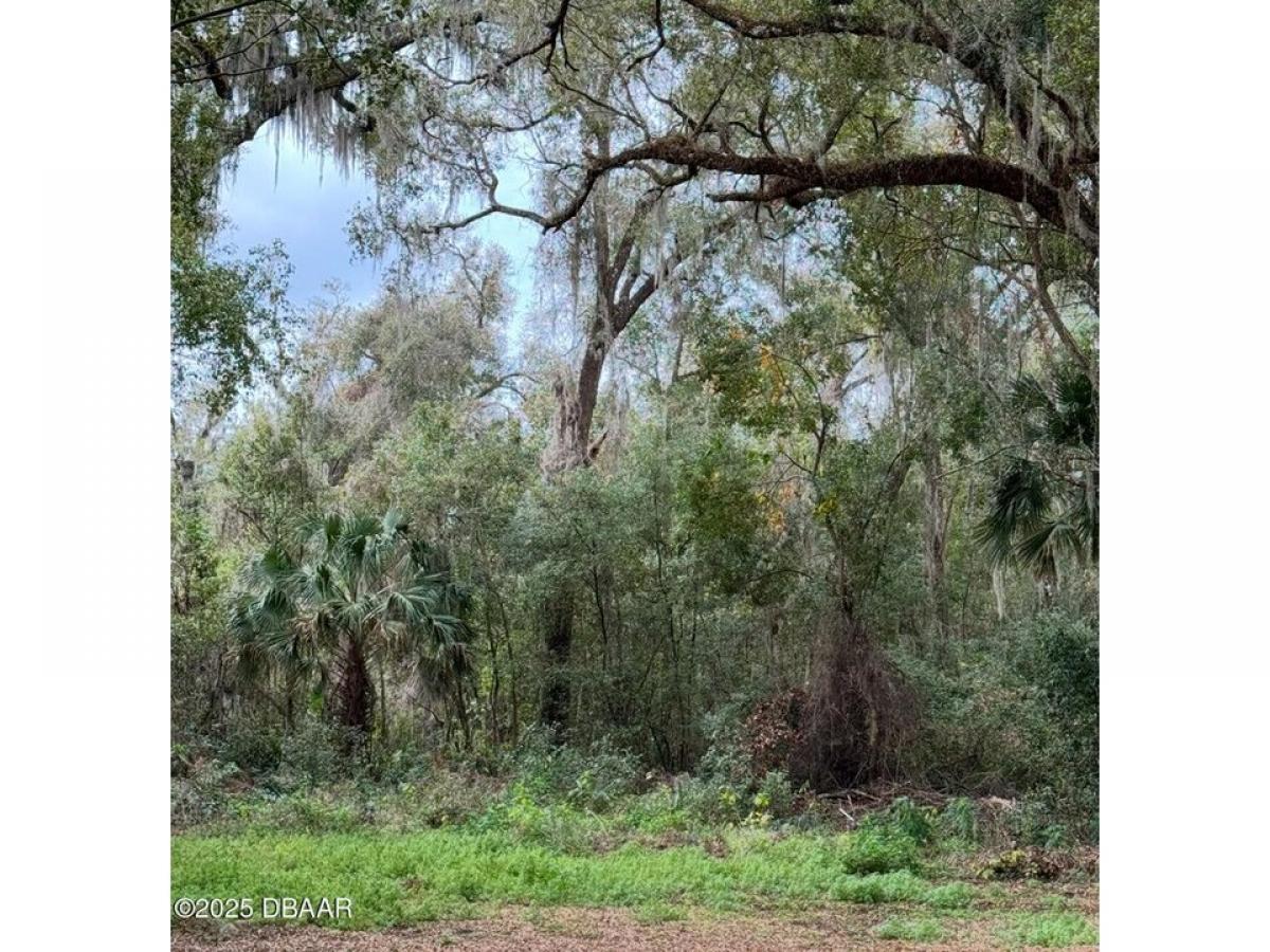 Picture of Residential Land For Sale in Orange City, Florida, United States