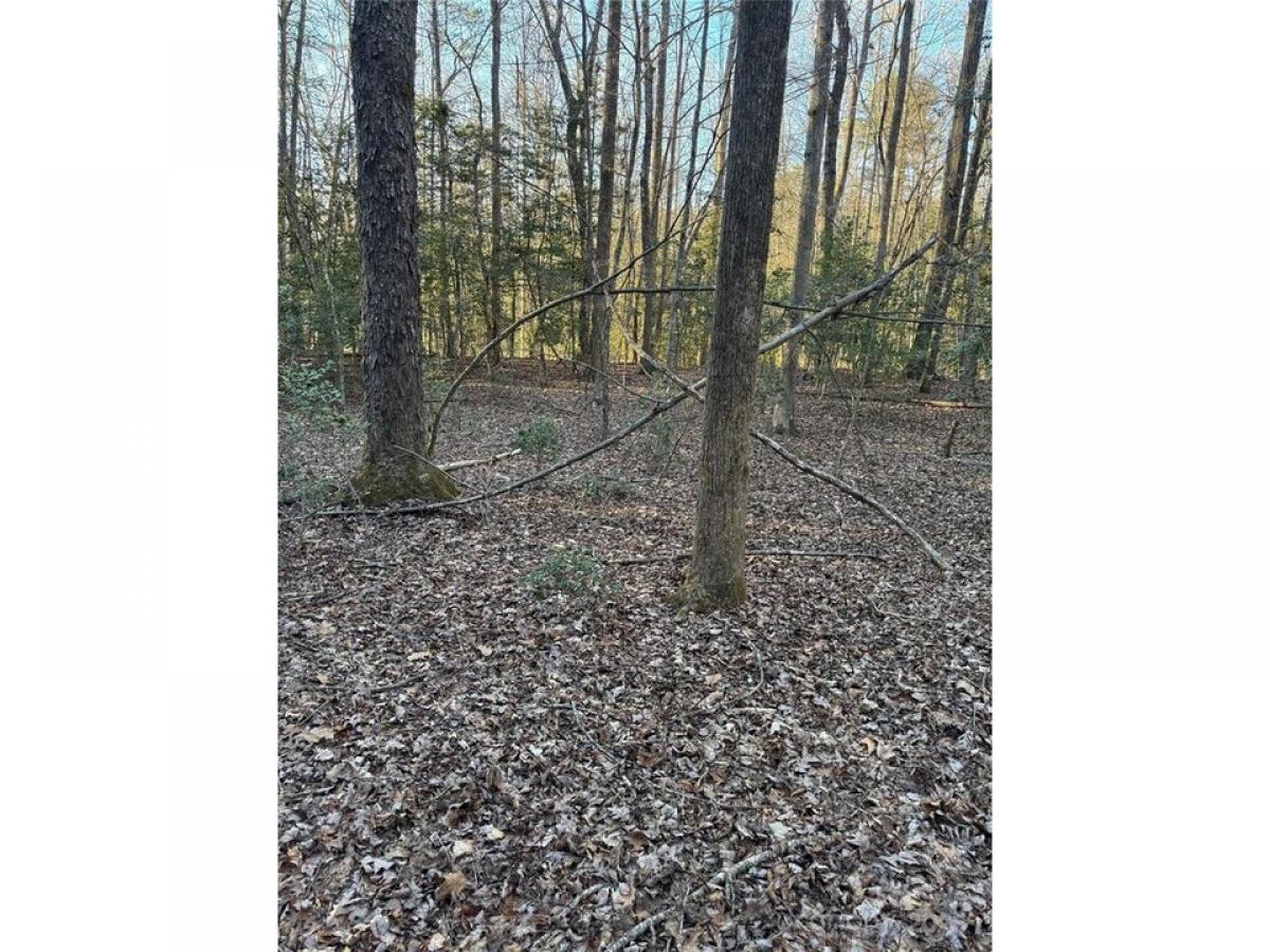 Picture of Residential Land For Sale in Lenoir, North Carolina, United States