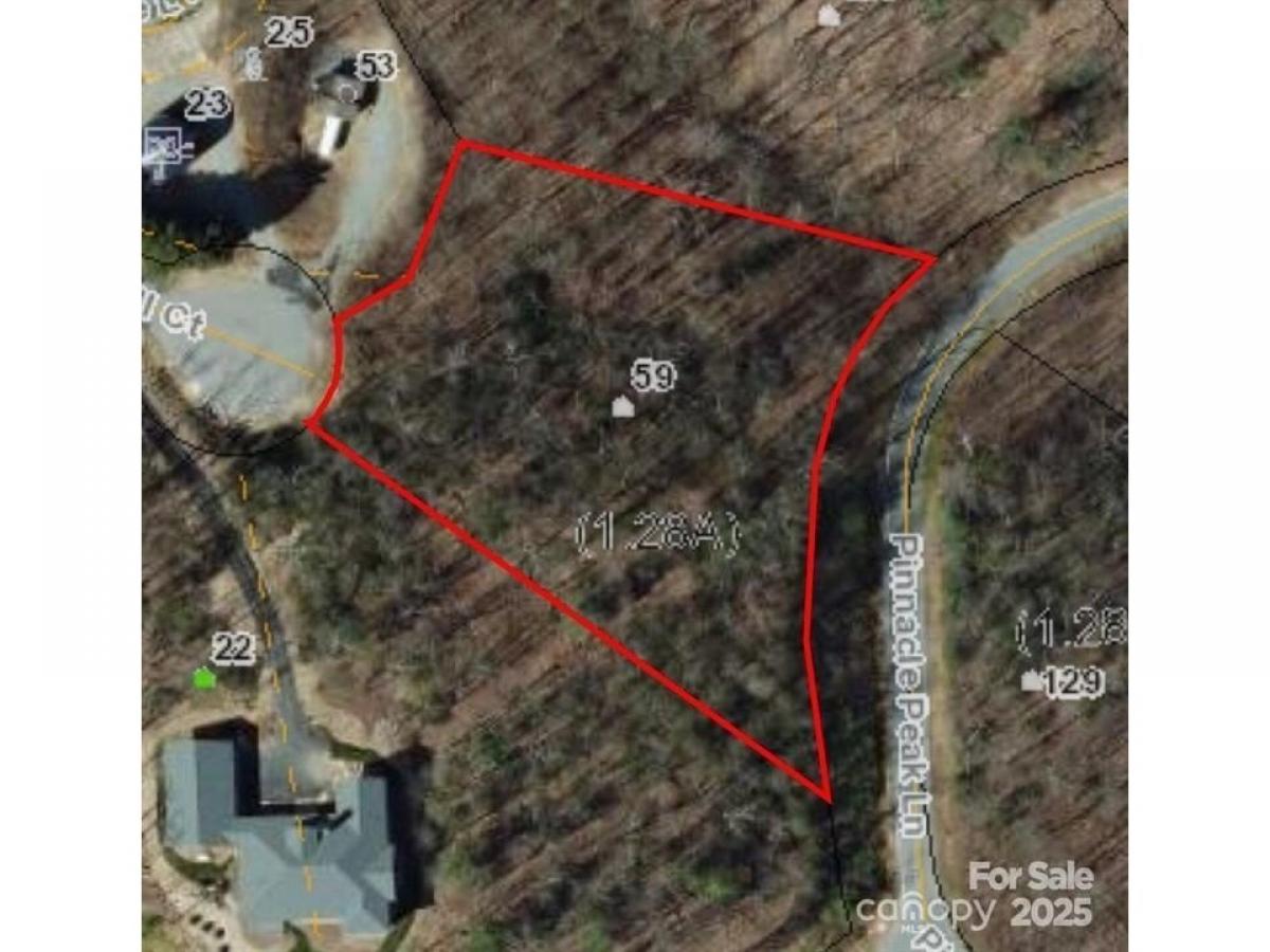 Picture of Residential Land For Sale in Flat Rock, North Carolina, United States