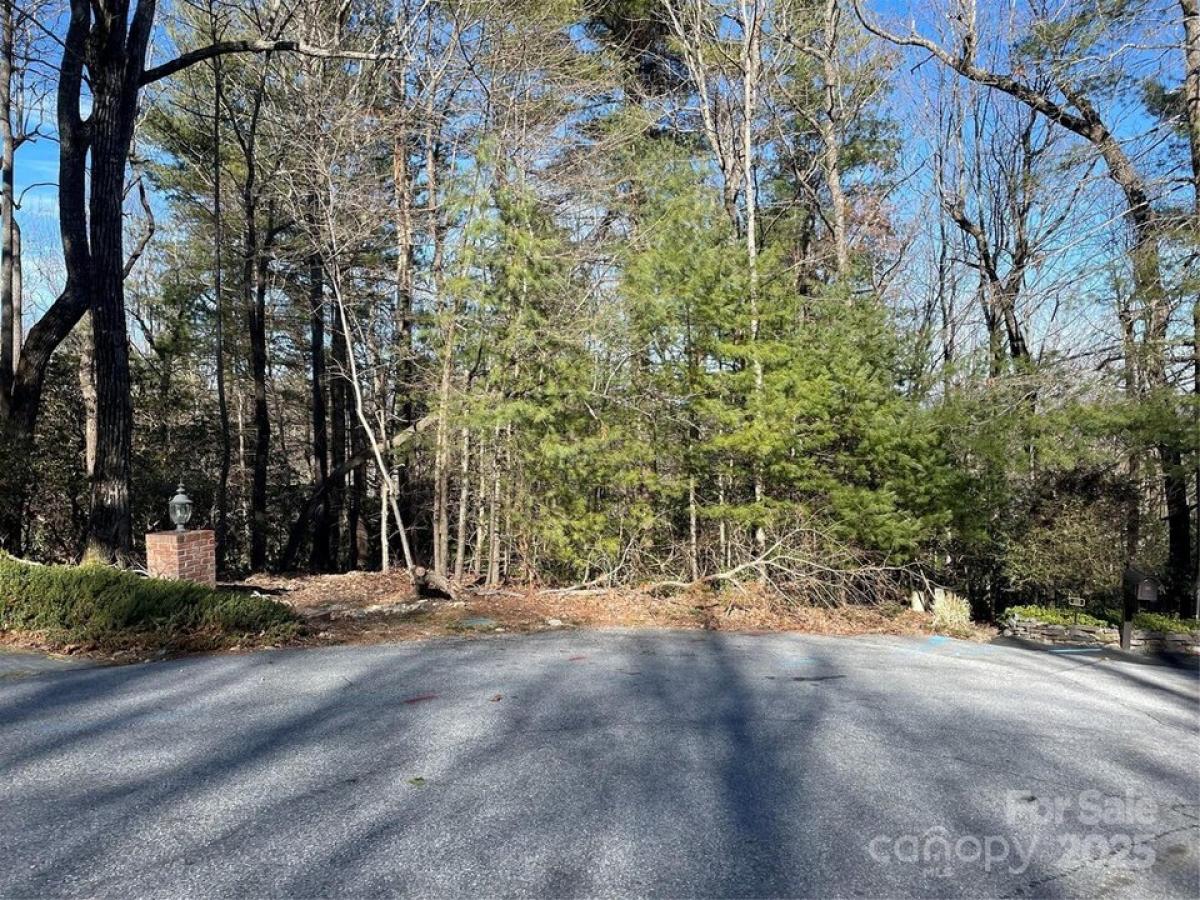 Picture of Residential Land For Sale in Flat Rock, North Carolina, United States