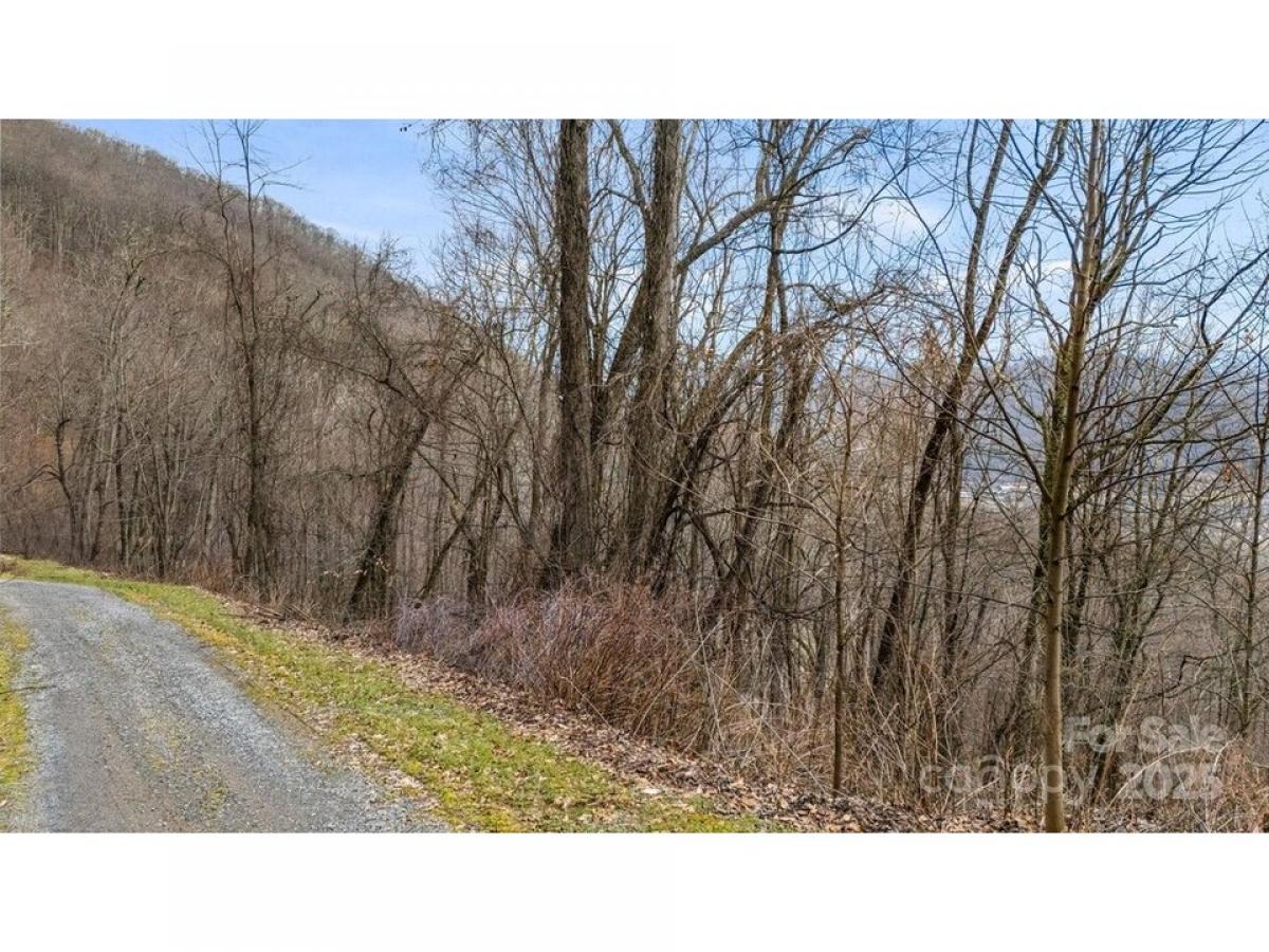 Picture of Residential Land For Sale in Waynesville, North Carolina, United States