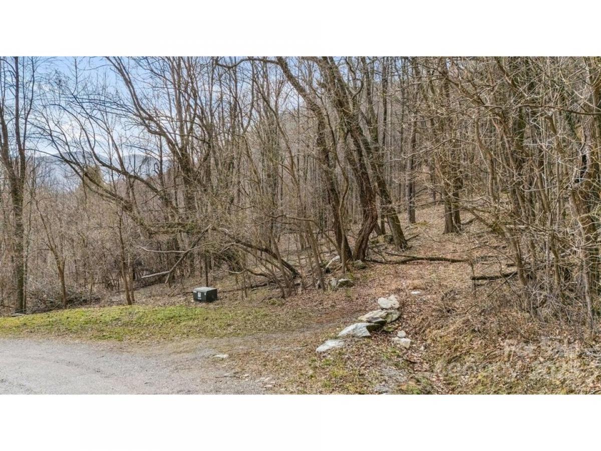 Picture of Residential Land For Sale in Waynesville, North Carolina, United States