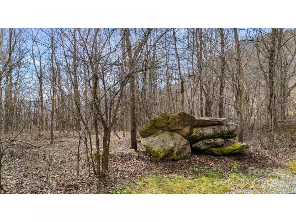 Picture of Residential Land For Sale in Waynesville, North Carolina, United States