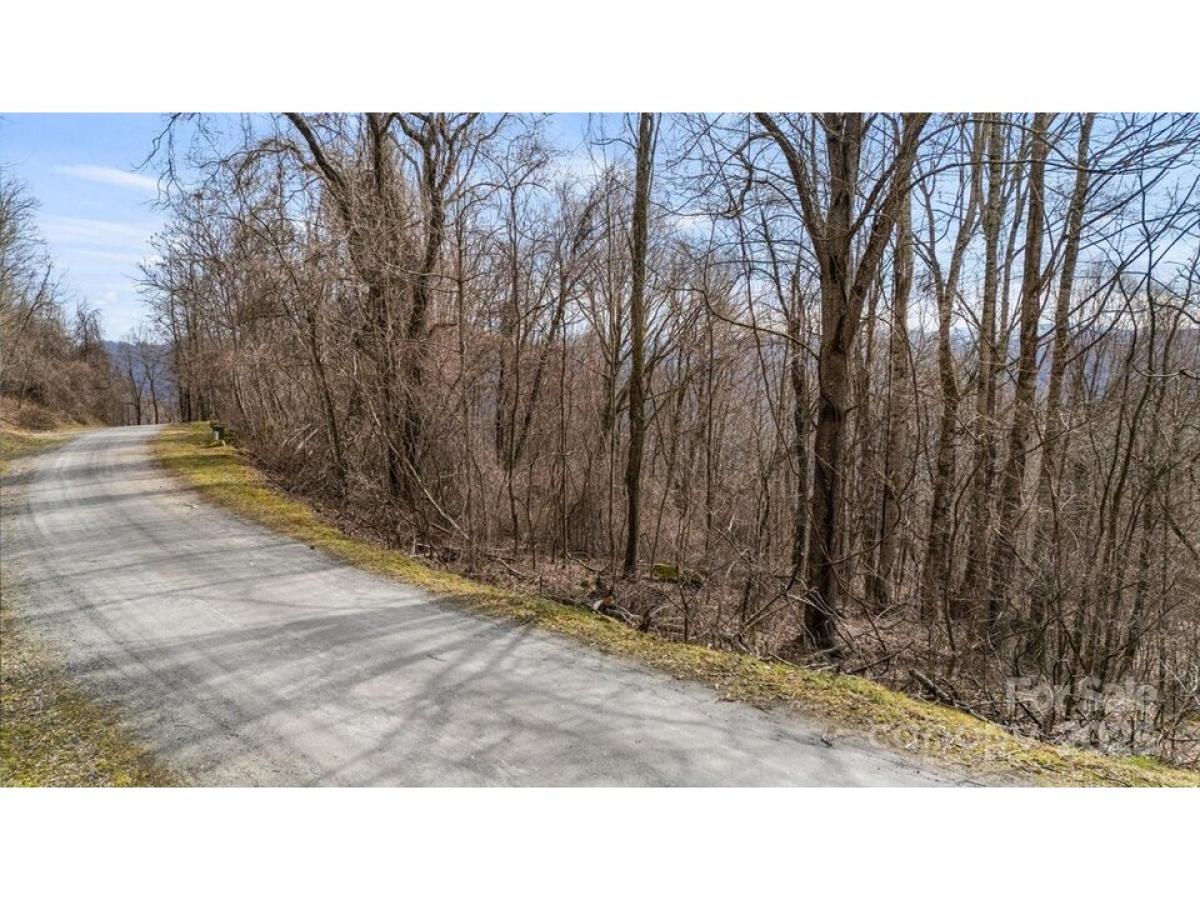 Picture of Residential Land For Sale in Waynesville, North Carolina, United States