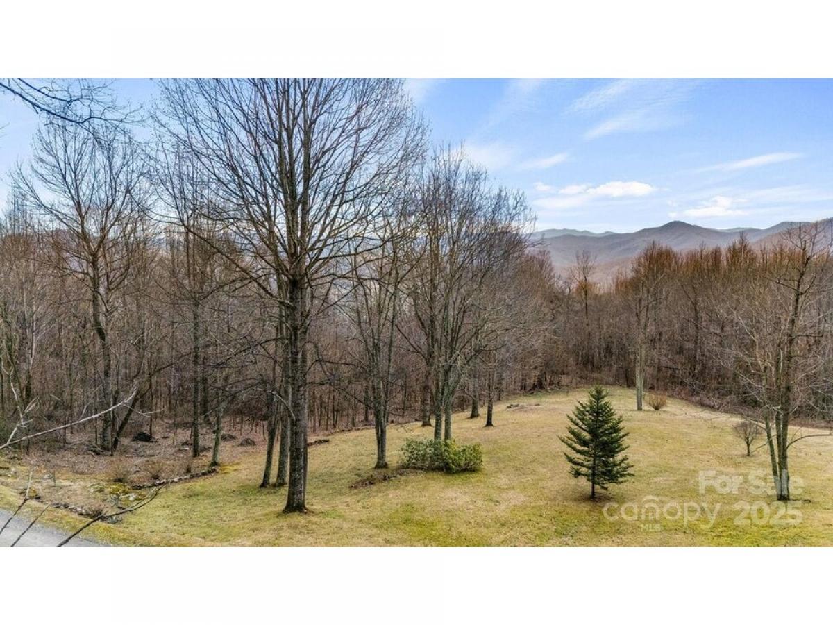 Picture of Residential Land For Sale in Waynesville, North Carolina, United States