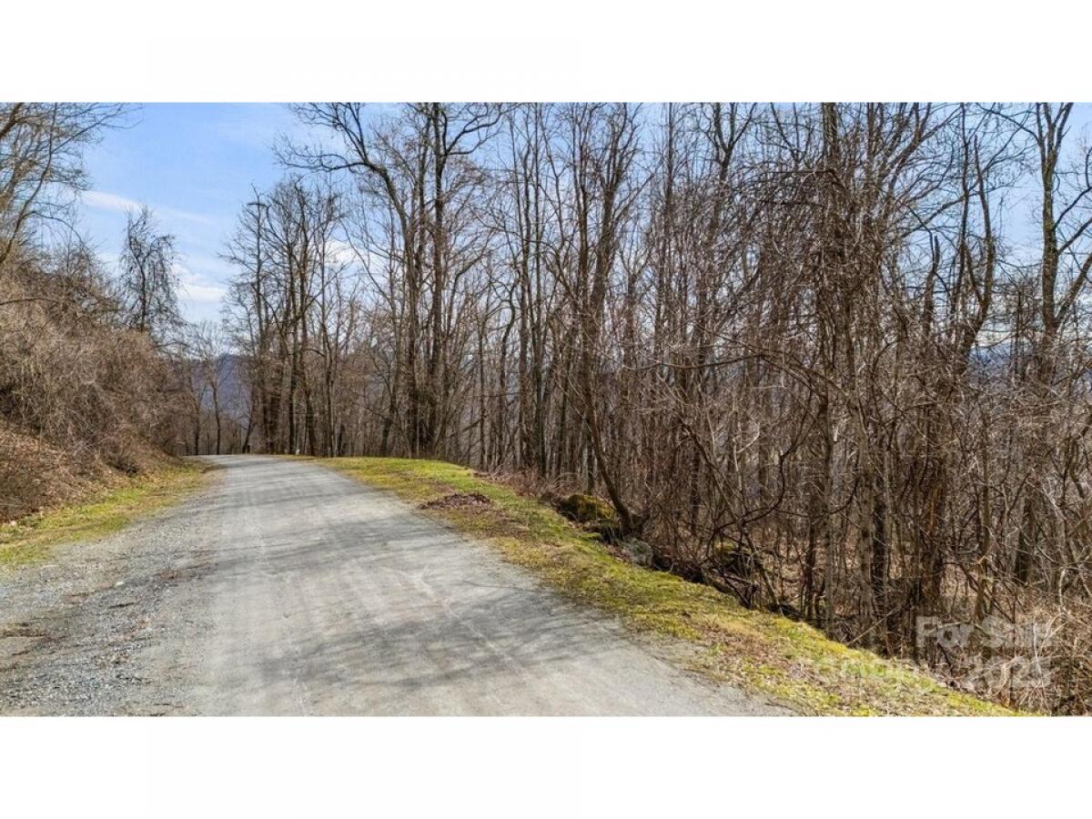 Picture of Residential Land For Sale in Waynesville, North Carolina, United States