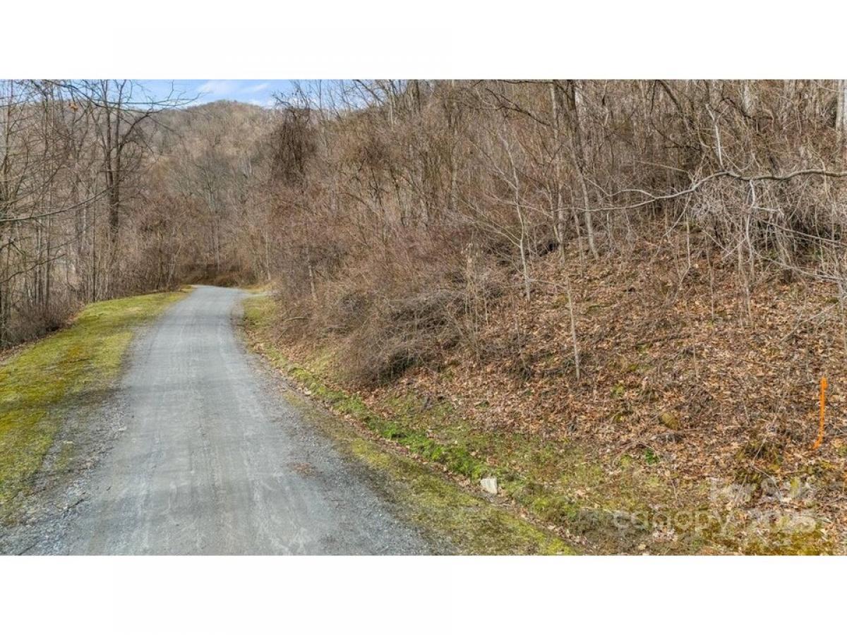 Picture of Residential Land For Sale in Waynesville, North Carolina, United States