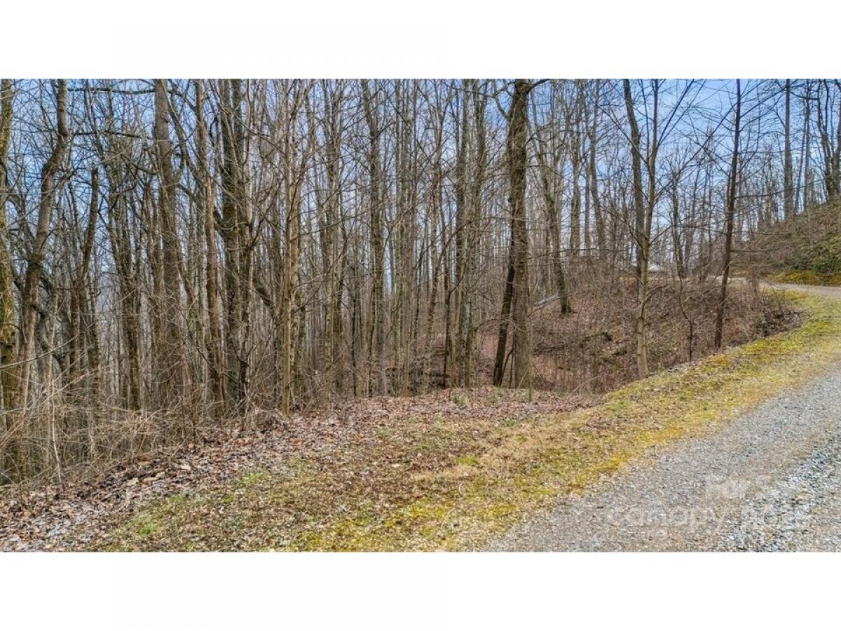 Picture of Residential Land For Sale in Waynesville, North Carolina, United States