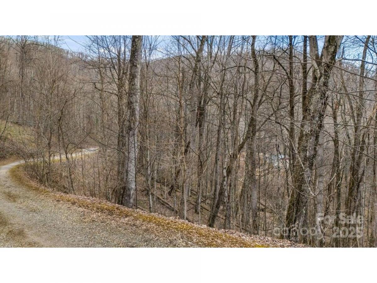 Picture of Residential Land For Sale in Waynesville, North Carolina, United States