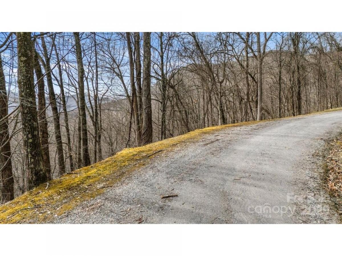 Picture of Residential Land For Sale in Waynesville, North Carolina, United States