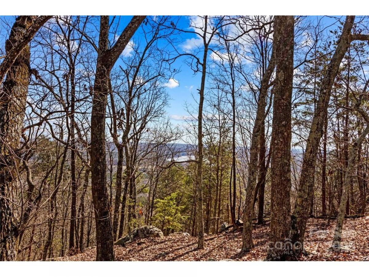 Picture of Residential Land For Sale in Denton, North Carolina, United States