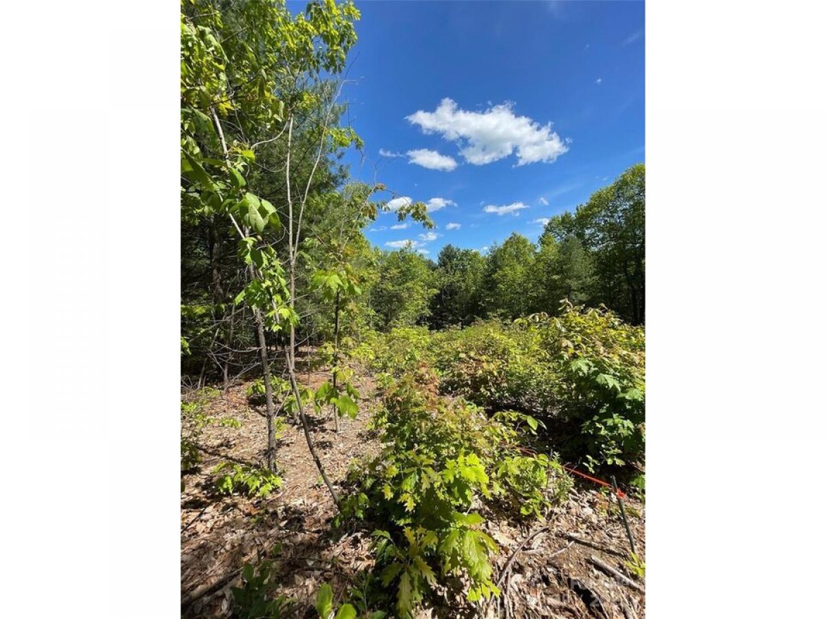 Picture of Residential Land For Sale in Flat Rock, North Carolina, United States