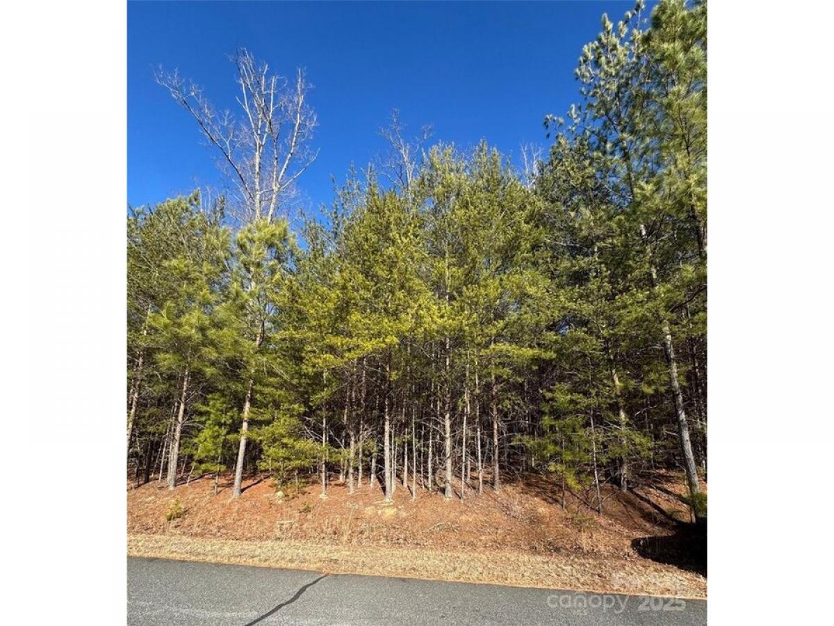 Picture of Residential Land For Sale in Rutherfordton, North Carolina, United States