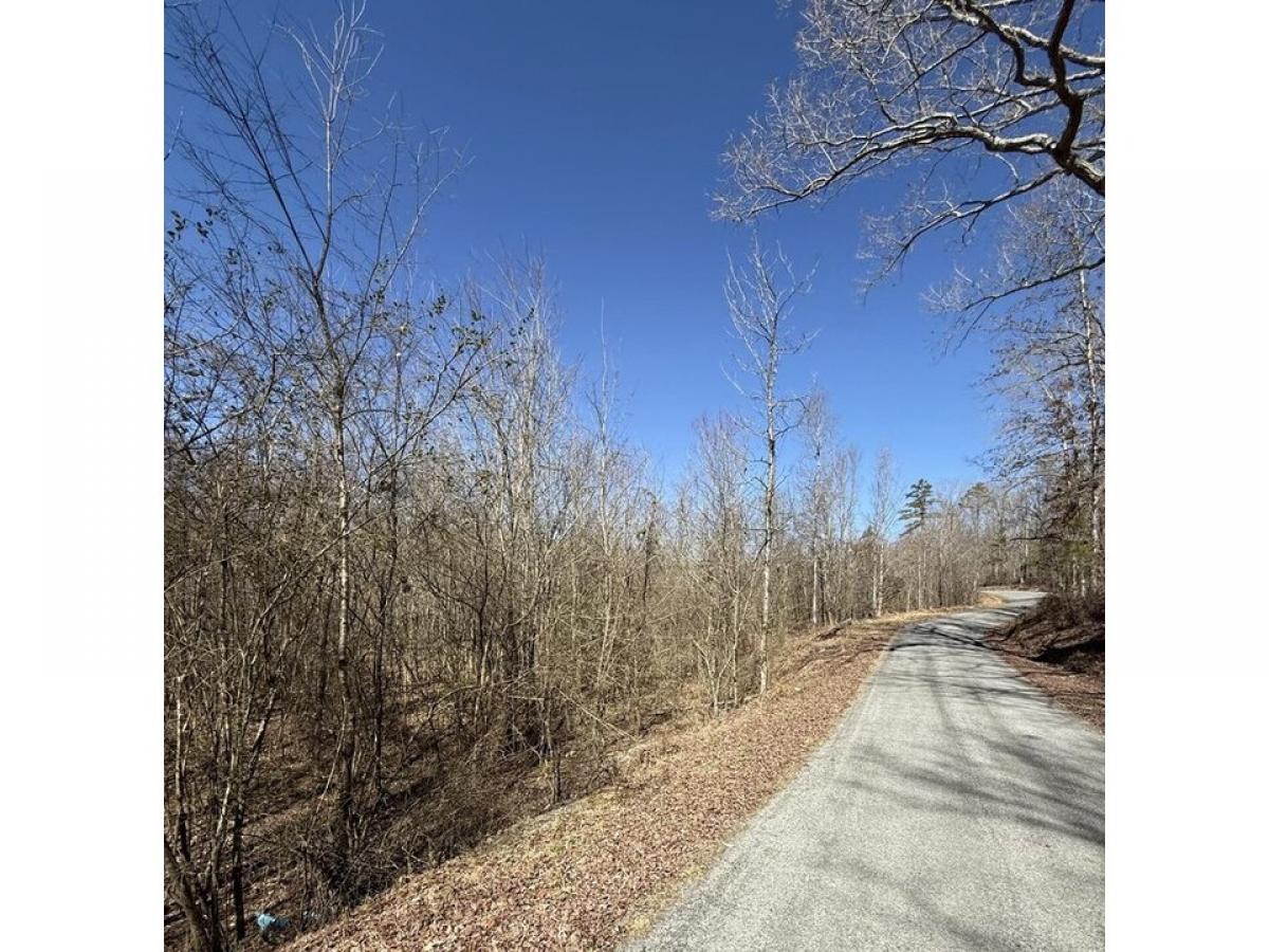 Picture of Residential Land For Sale in Decatur, Tennessee, United States