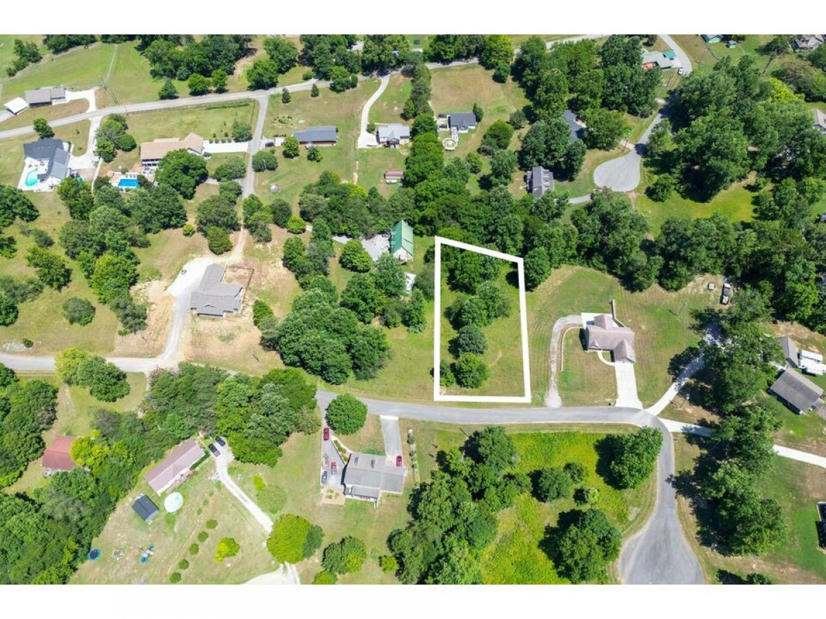 Picture of Residential Land For Sale in Trenton, Georgia, United States