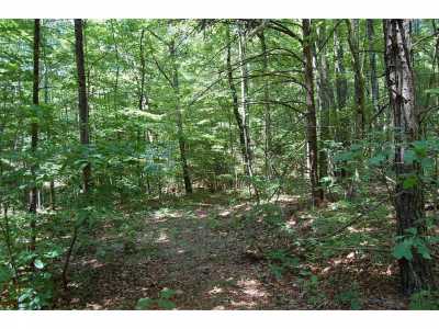 Residential Land For Sale in Dunlap, Tennessee