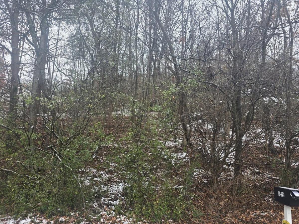 Picture of Residential Land For Sale in Signal Mountain, Tennessee, United States