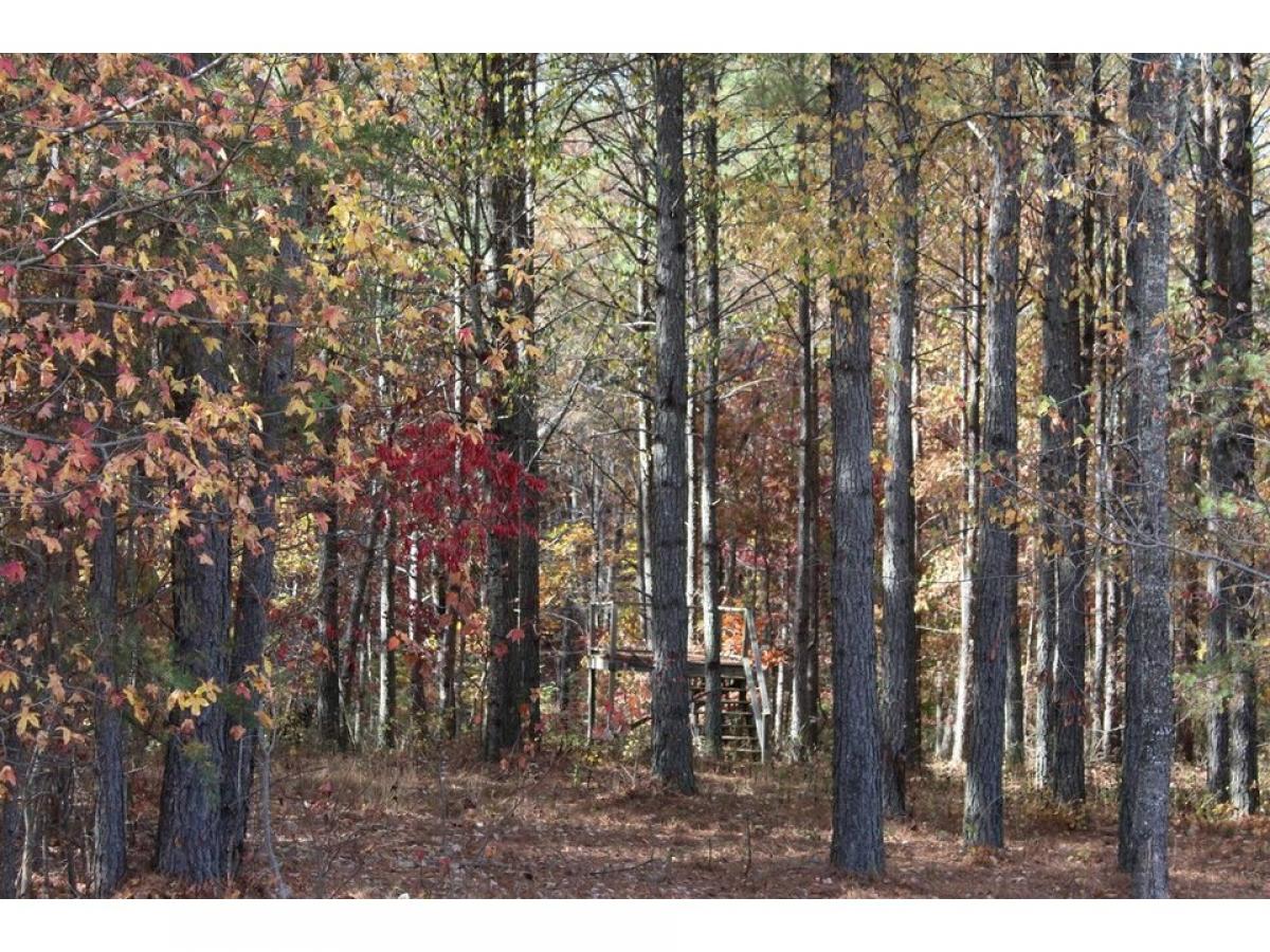 Picture of Residential Land For Sale in Jasper, Tennessee, United States