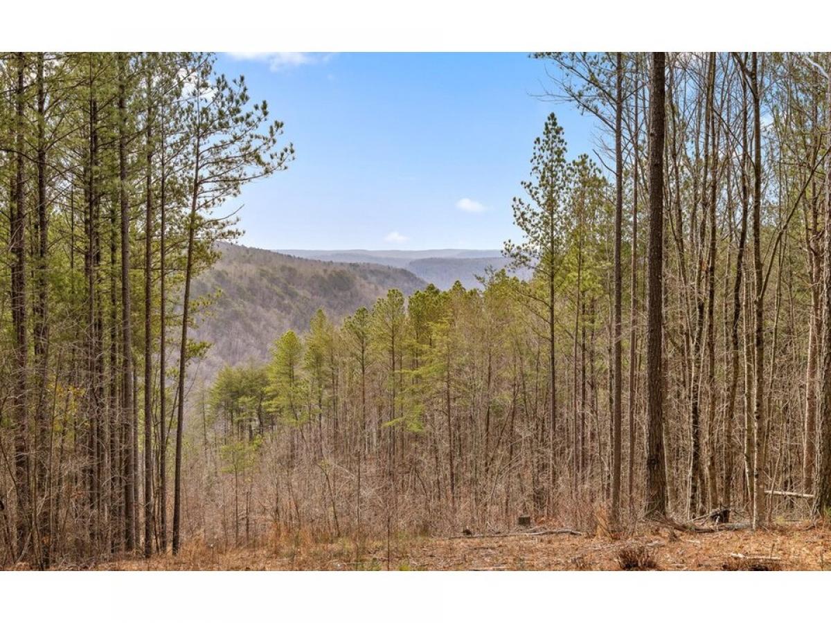 Picture of Residential Land For Sale in Guild, Tennessee, United States