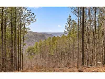 Residential Land For Sale in Guild, Tennessee