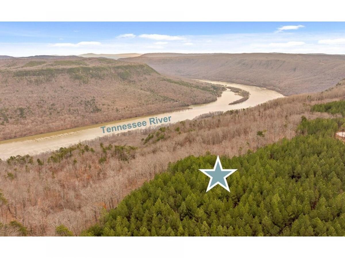 Picture of Residential Land For Sale in Guild, Tennessee, United States