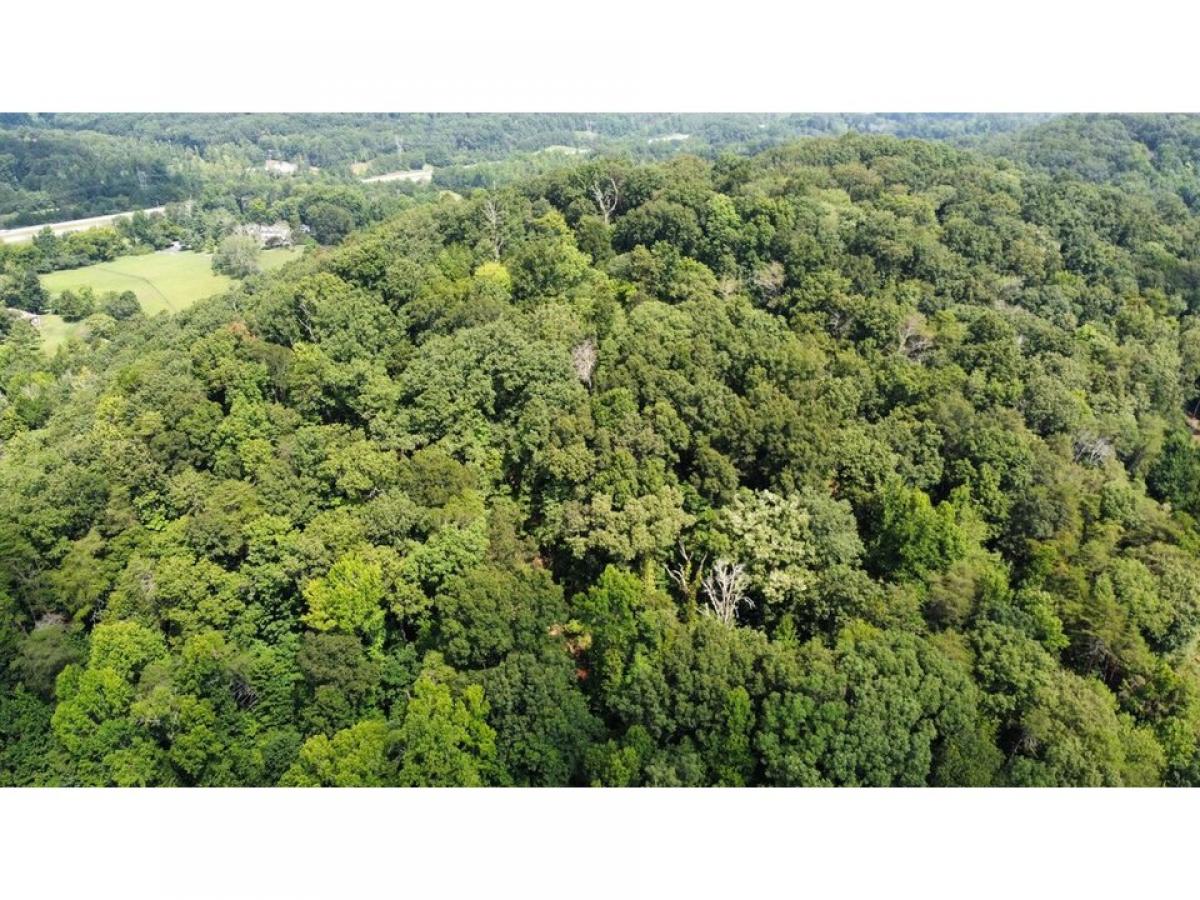 Picture of Residential Land For Sale in Chattanooga, Tennessee, United States