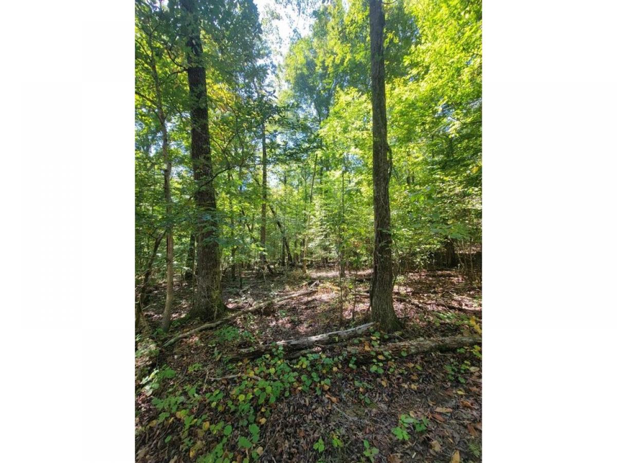 Picture of Residential Land For Sale in Cleveland, Tennessee, United States