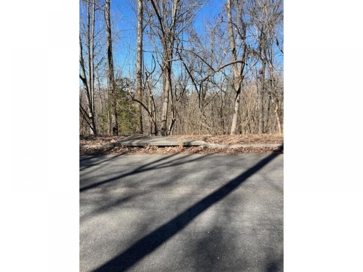 Picture of Residential Land For Sale in Rocky Face, Georgia, United States