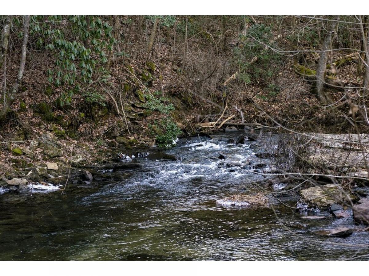 Picture of Residential Land For Sale in Lookout Mountain, Georgia, United States