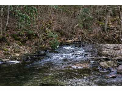 Residential Land For Sale in Lookout Mountain, Georgia