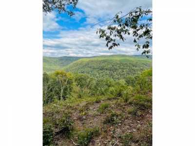 Residential Land For Sale in Guild, Tennessee