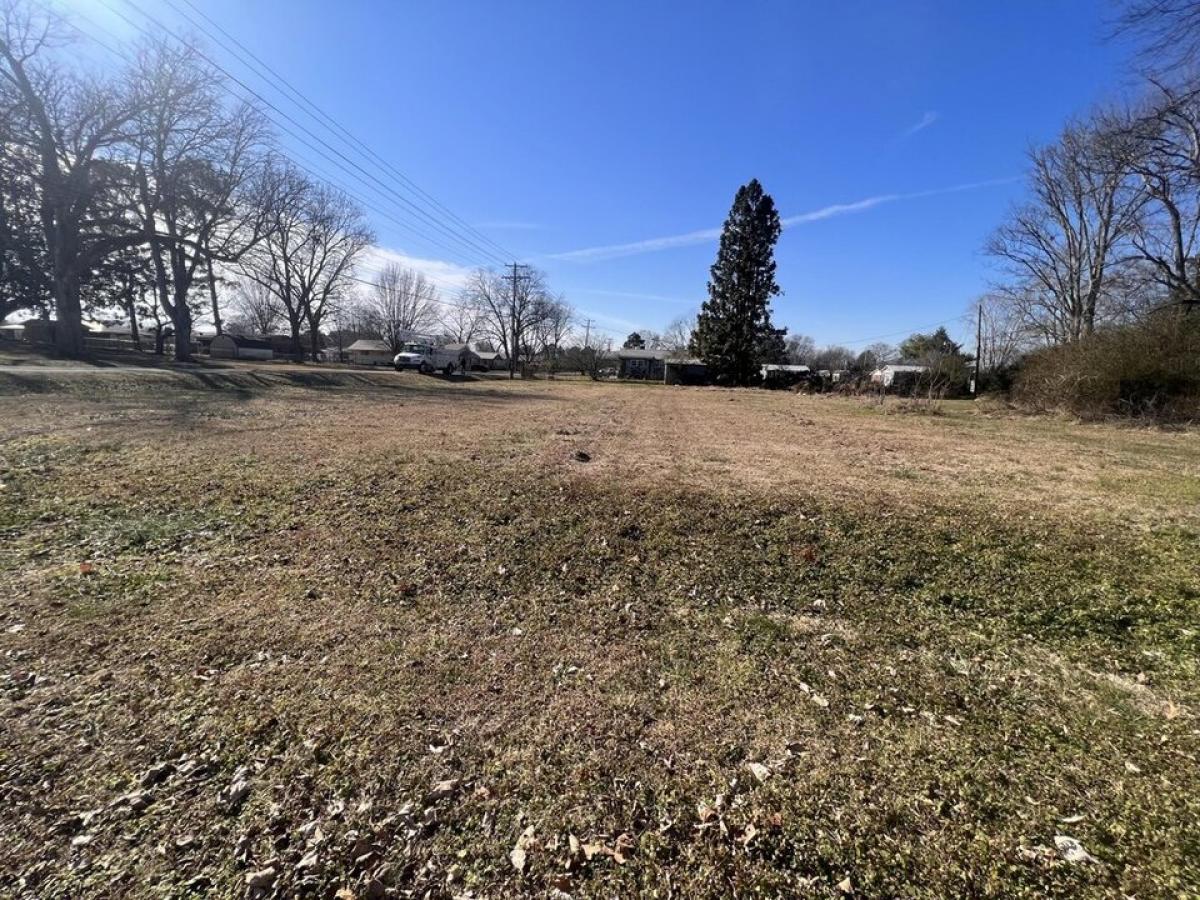 Picture of Residential Land For Sale in Stevenson, Alabama, United States