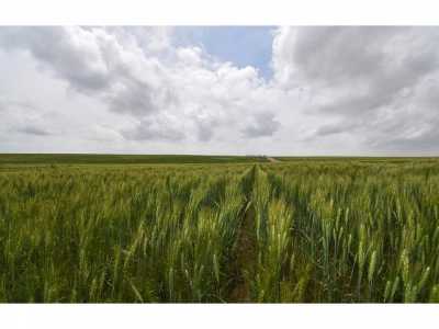 Farm For Sale in 