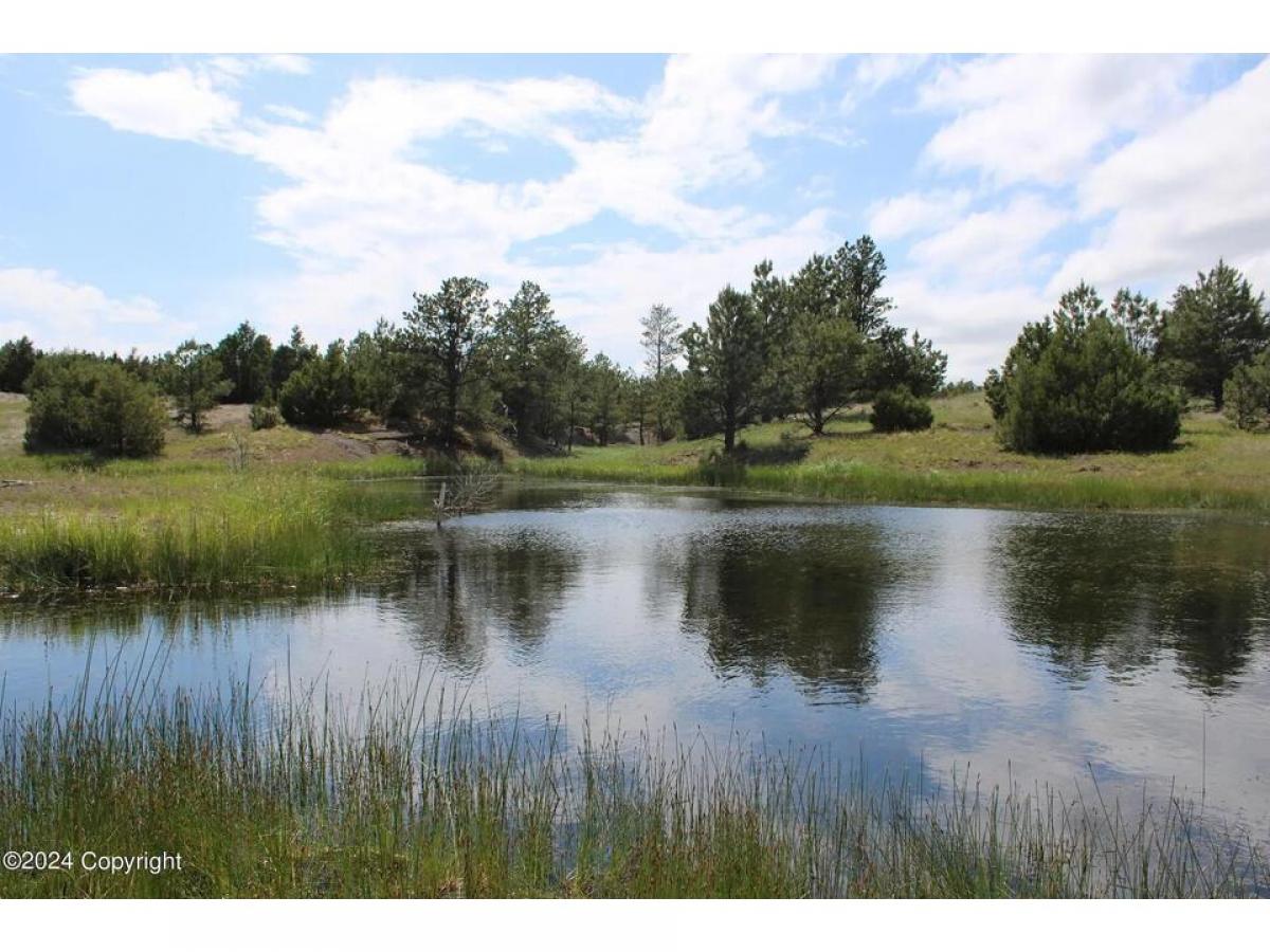 Picture of Residential Land For Sale in Oshoto, Wyoming, United States