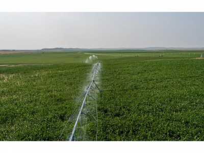 Farm For Sale in 