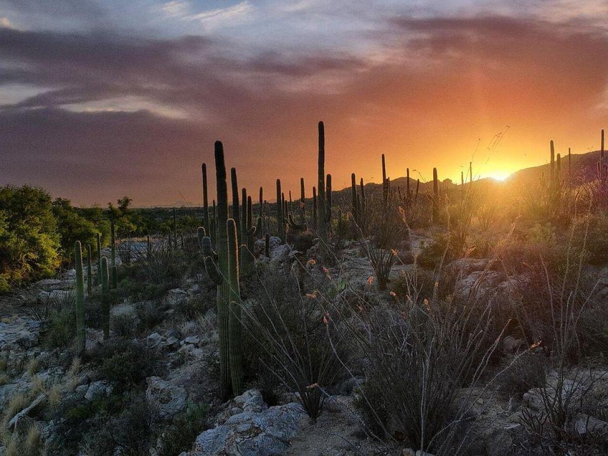 Picture of Residential Land For Sale in Tucson, Arizona, United States