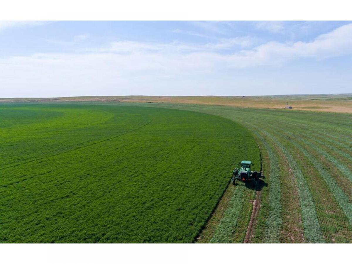 Picture of Farm For Sale in Torrington, Wyoming, United States