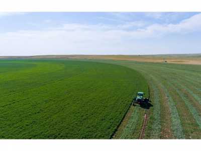 Farm For Sale in 